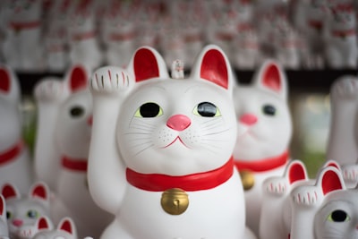 pile of japanese lucky cat lucky google meet background
