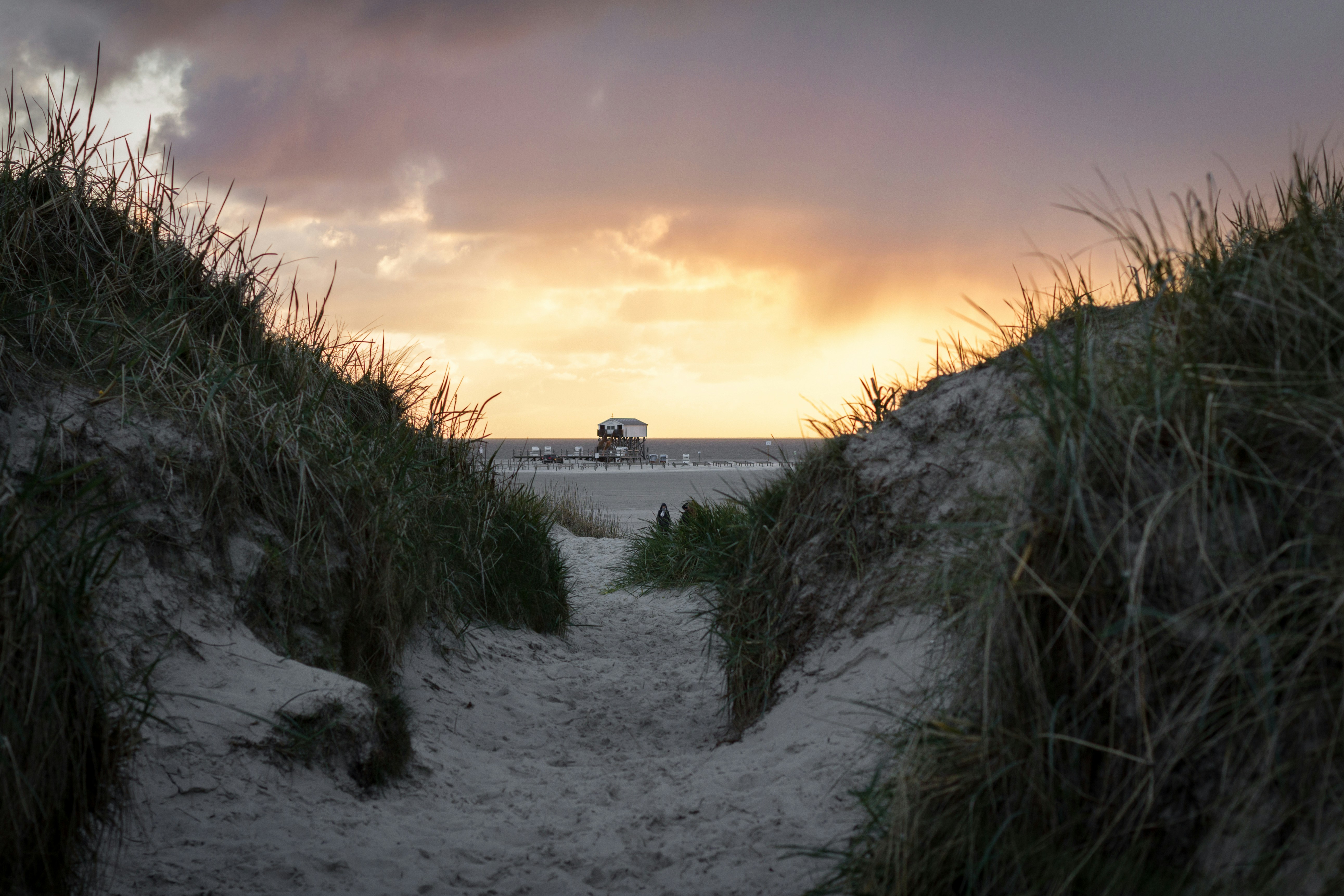 Free Unsplash photo from Patrick Schöpflin