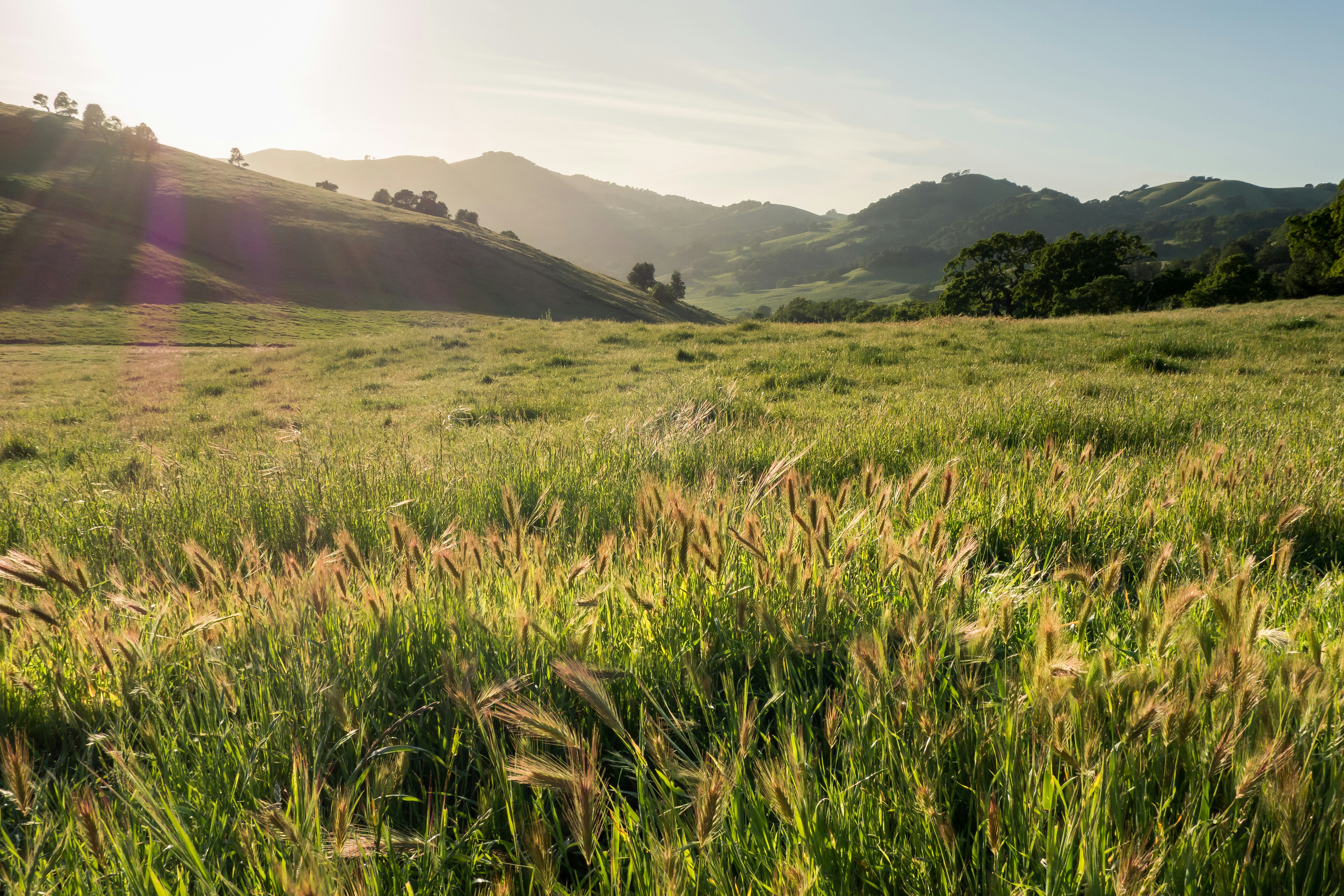 Free Unsplash photo from Matt McLean