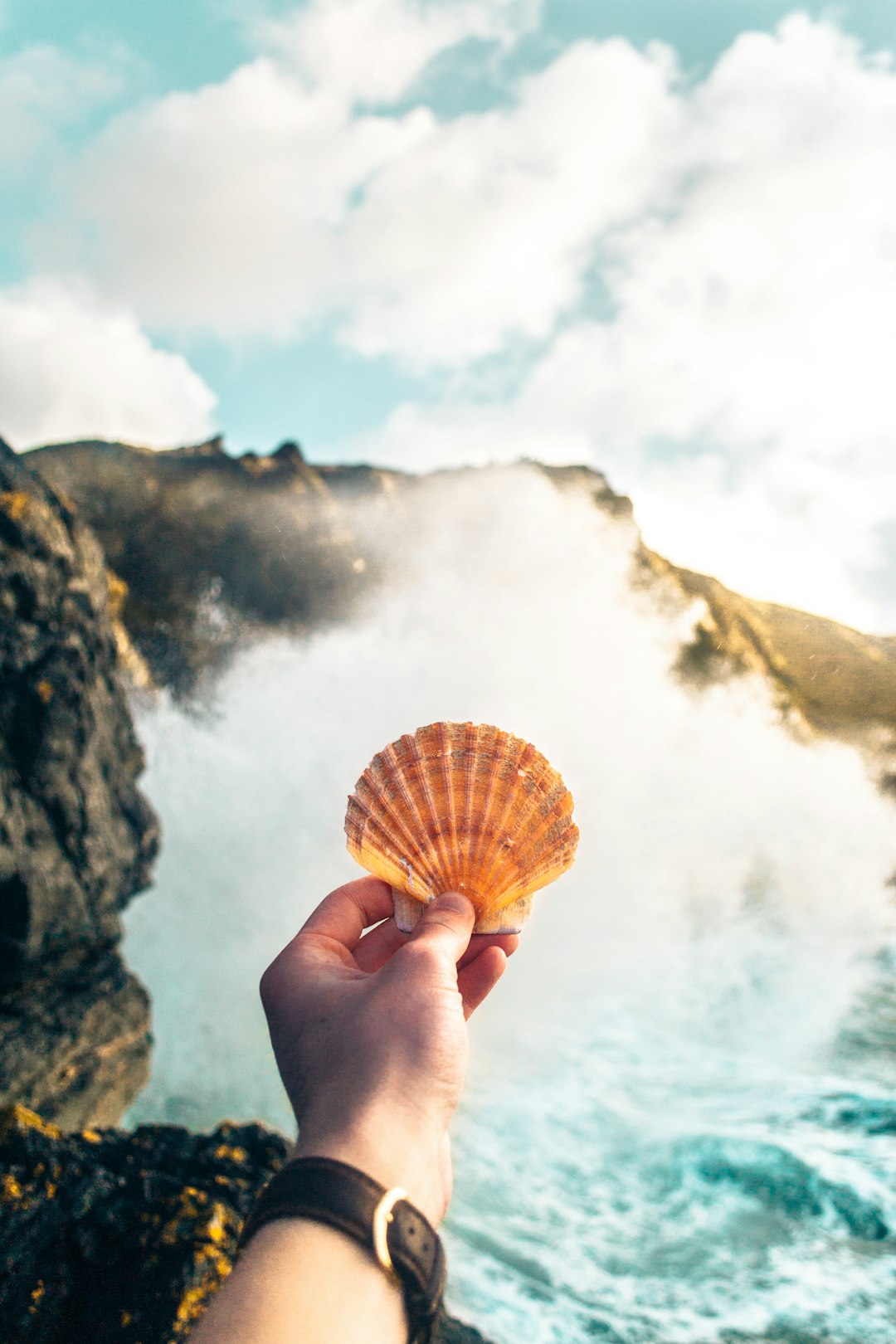 person holding brown clamshell near cliff