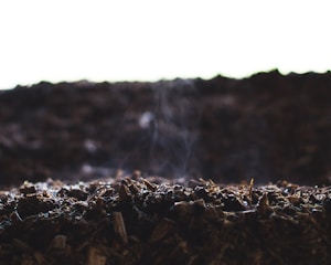A close-up view of dark, rich soil with small pieces of bark and organic material. The focus is on the texture of the soil, highlighting the rough surface with hints of moisture or steam rising from it.