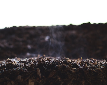 A close-up view of dark, rich soil with small pieces of bark and organic material. The focus is on the texture of the soil, highlighting the rough surface with hints of moisture or steam rising from it.