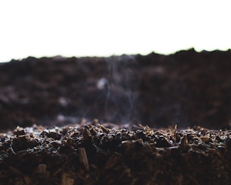 Close-up of rich, dark soil being enriched with natural organic fertilizer granules.