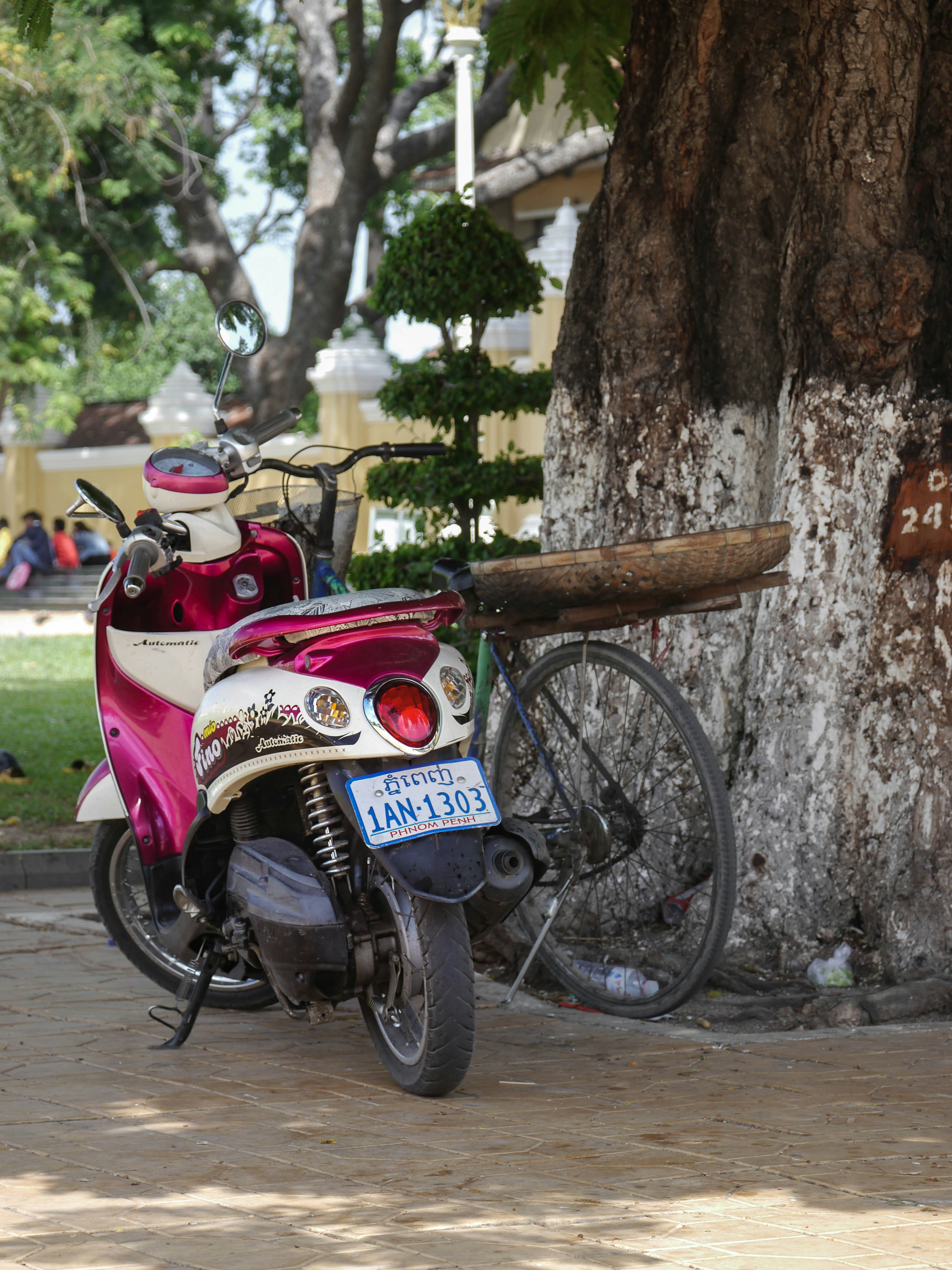 Free Unsplash photo from Sven Wilhelm