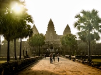 A grand stone pathway leading to an ancient temple structure, flanked by lush palm trees. The temple displays intricate architecture with tall towers, and people are seen walking towards it. The sunlight creates a warm atmosphere, casting shadows and a golden hue over the scene.