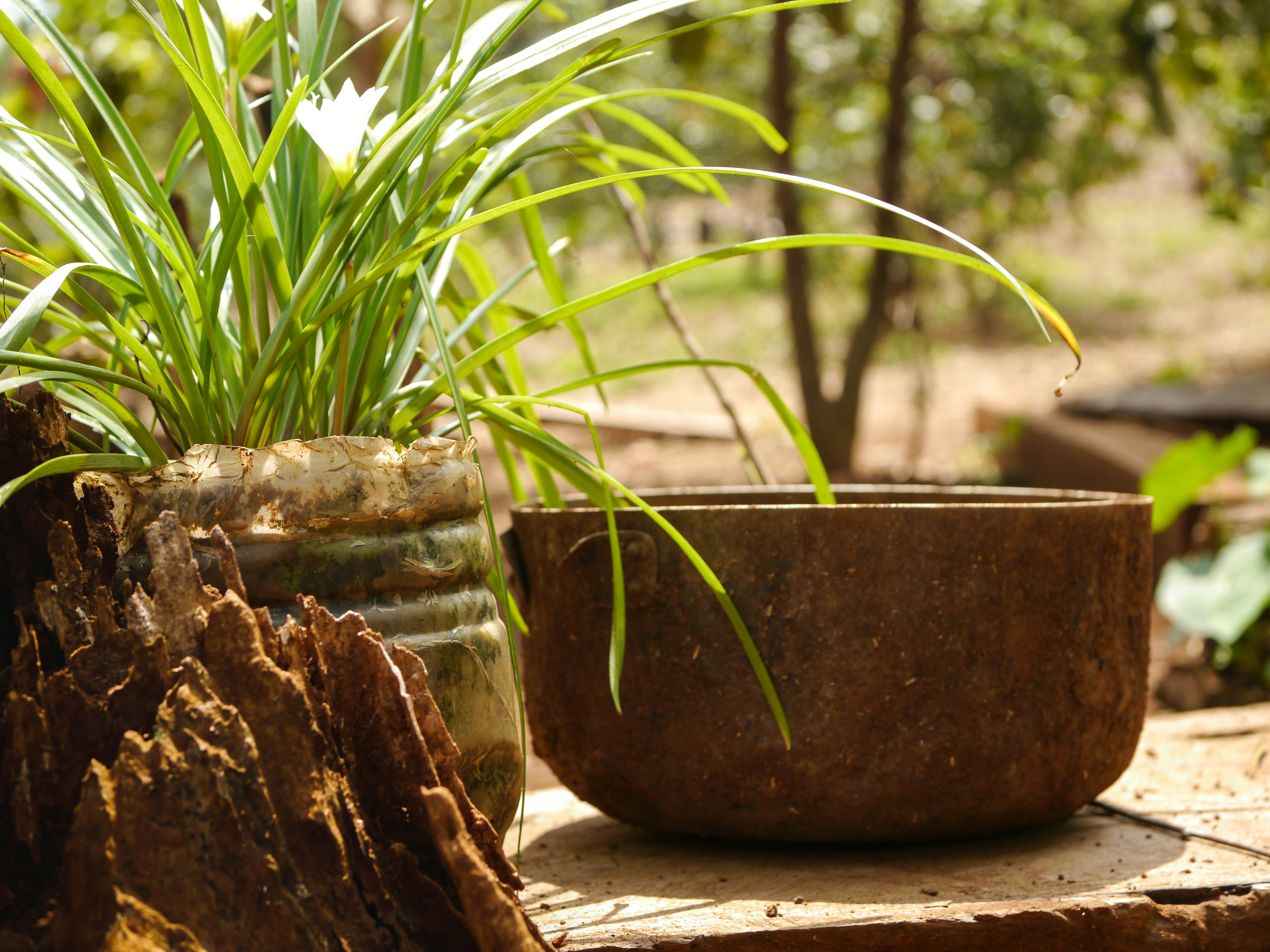 Free Unsplash photo from Sven Wilhelm