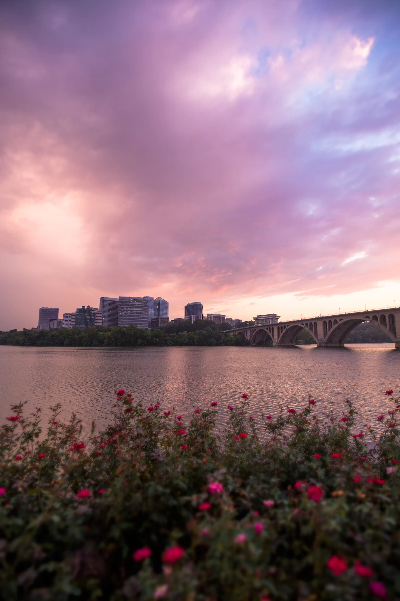 The Rosslyn skyline and Key Bridge over the Potomac River at sunset in Arlington, Virginia