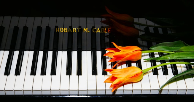 A piano keyboard with the brand name 'Hobart M. Cable' is adorned by vibrant orange tulips placed on the keys, creating a striking contrast between the dark and light elements.