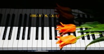 A piano keyboard with the brand name 'Hobart M. Cable' is adorned by vibrant orange tulips placed on the keys, creating a striking contrast between the dark and light elements.