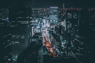 aerial photography of city skyline during night time