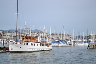 A marina filled with numerous sailboats and yachts docked in the harbor. A prominent white yacht with wooden accents is in the foreground, with the name 'Fifer' visible on its side. Several buildings line the waterfront in the background, with hills visible under a clear sky.