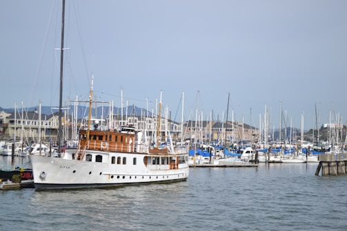 A marina filled with numerous sailboats and yachts docked in the harbor. A prominent white yacht with wooden accents is in the foreground, with the name 'Fifer' visible on its side. Several buildings line the waterfront in the background, with hills visible under a clear sky.