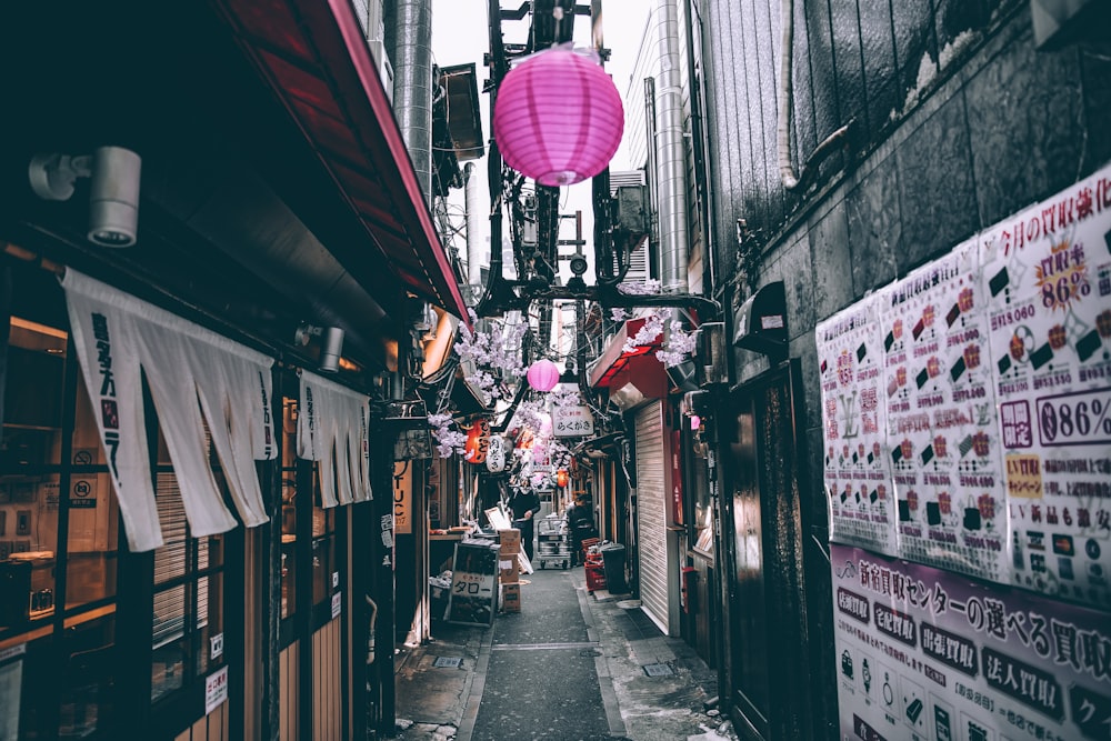 selective color photography of pathway between building with pink lanterns