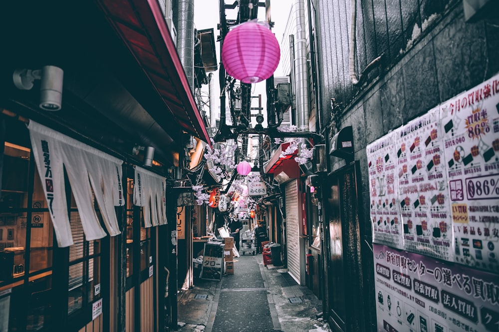 fotografia colorida seletiva do caminho entre o edifício com lanternas cor-de-rosa