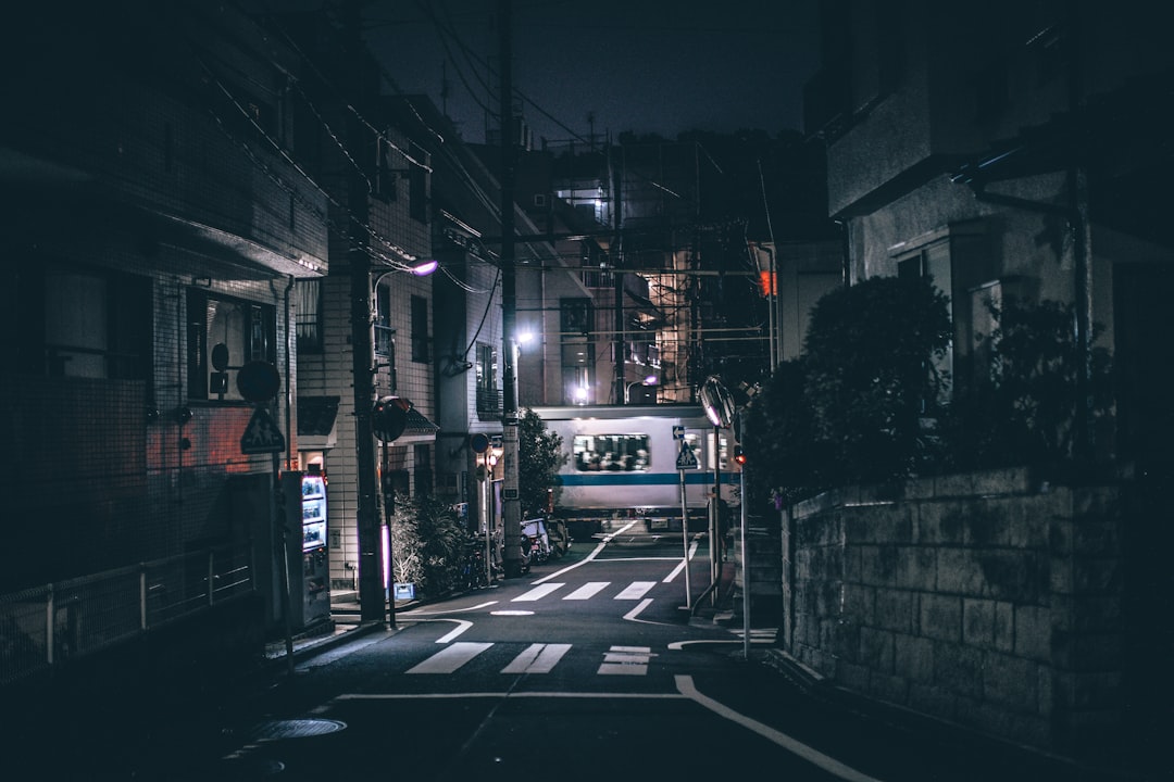 empty road, The Path.