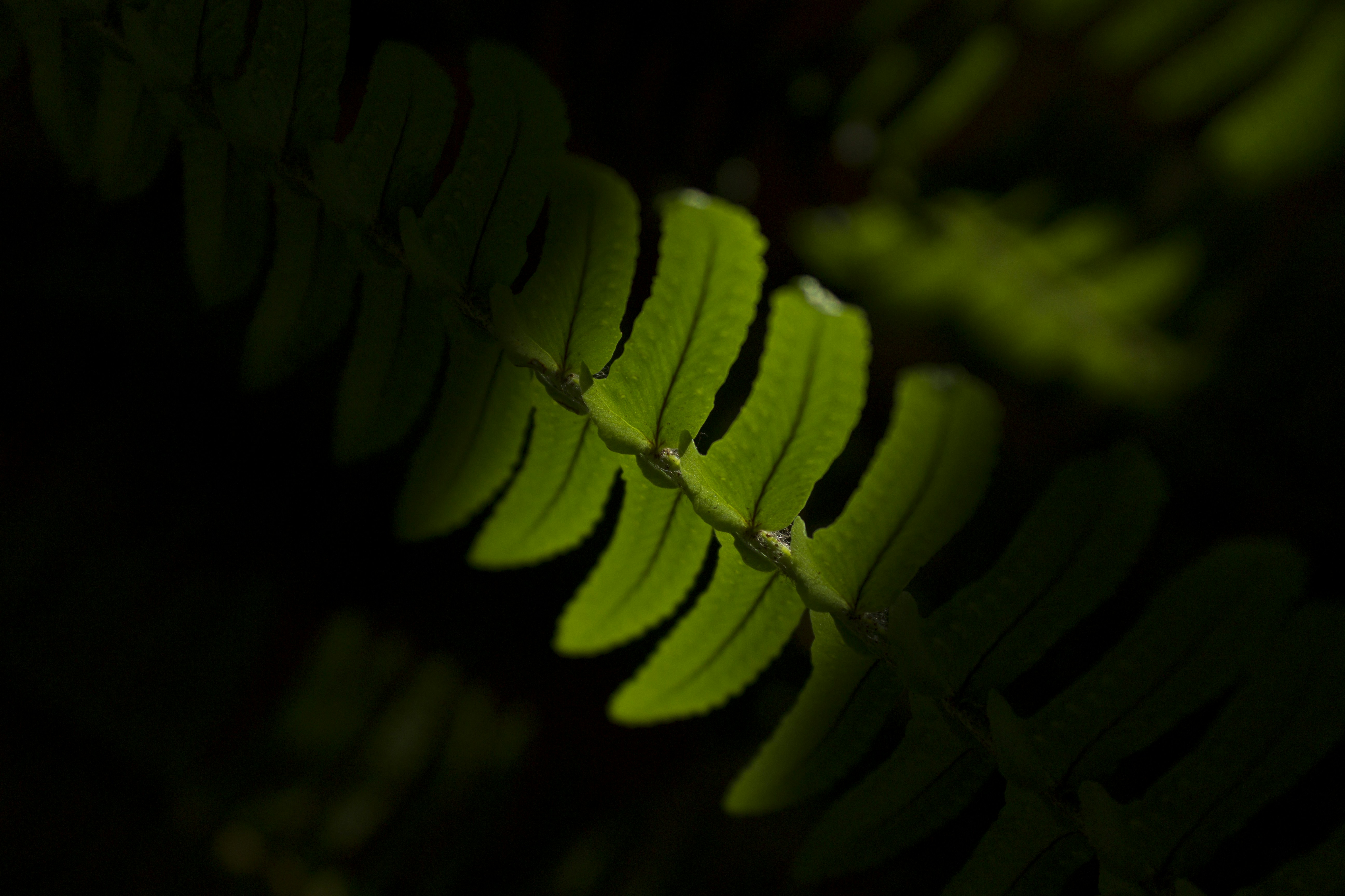 Free Unsplash photo from Armando  Morales