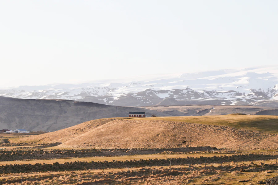 Dry hillside at daytime