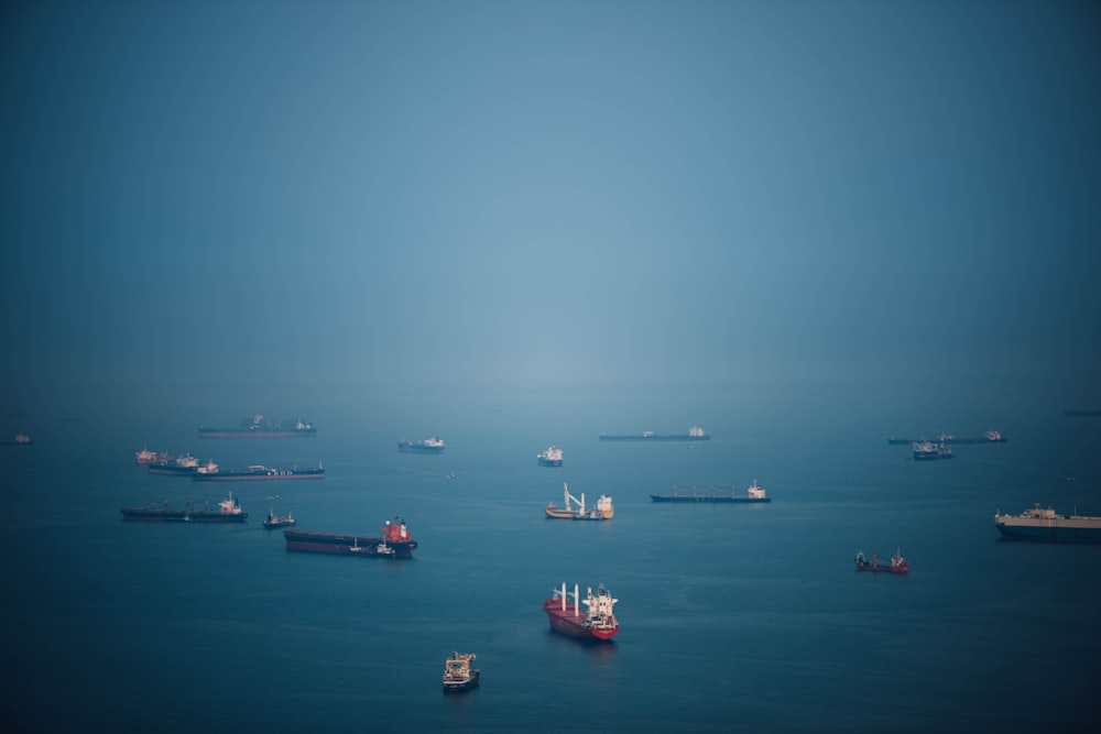 boats on body of water