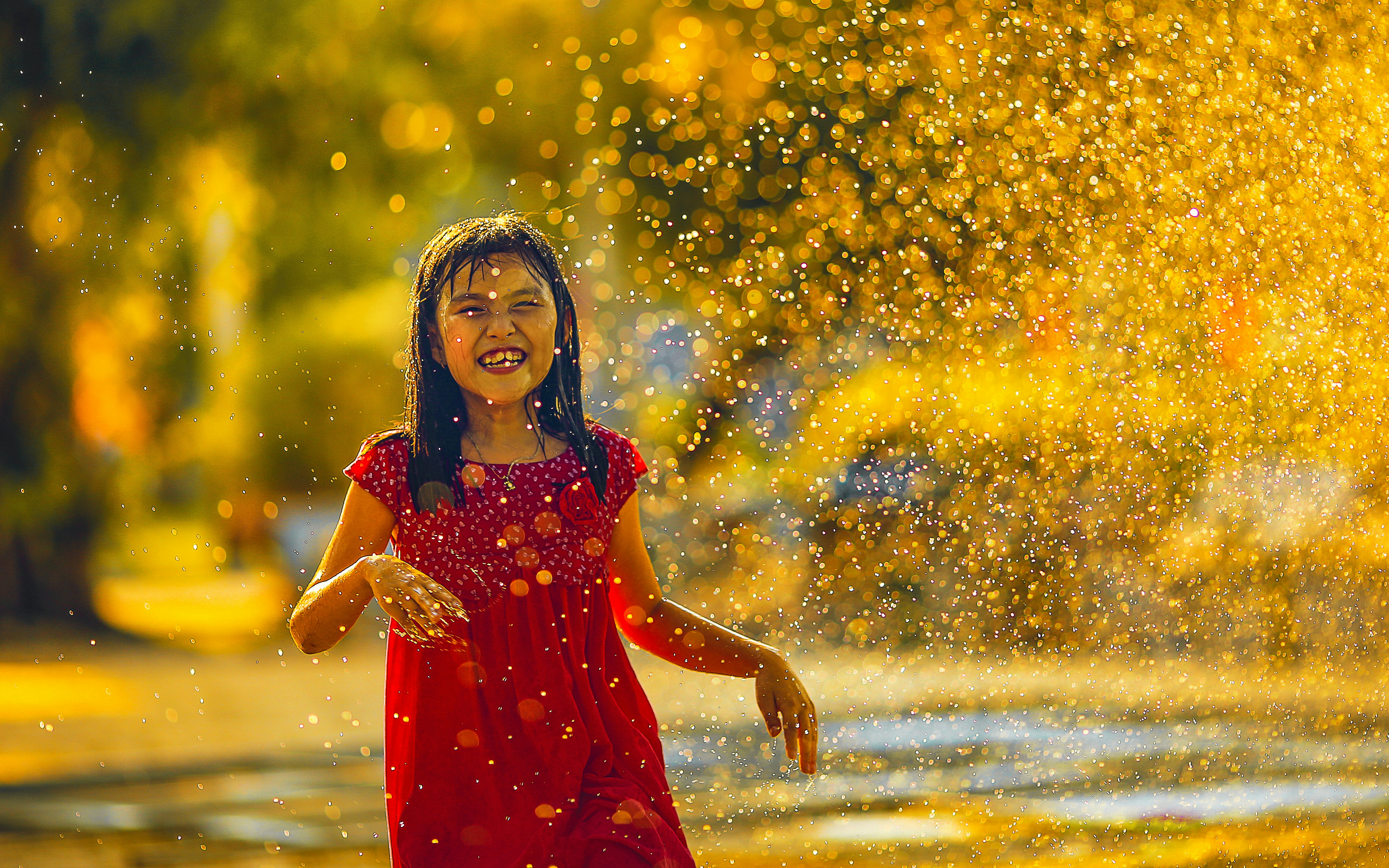 Free Unsplash photo from Mi PHAM