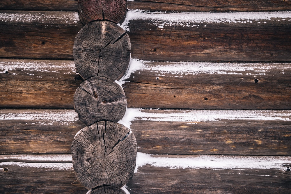 brown wooden tree log