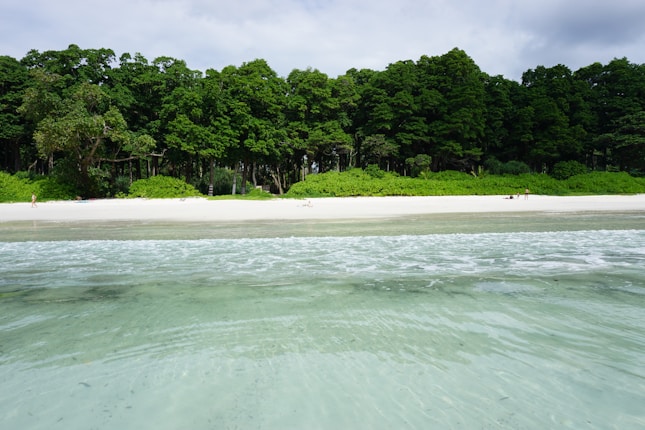 A tranquil beach scene with crystal-clear water in the foreground, a long stretch of white sand, and a dense wall of lush green trees in the background. Few people are enjoying the serene environment.