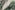 photo of green tree leaves