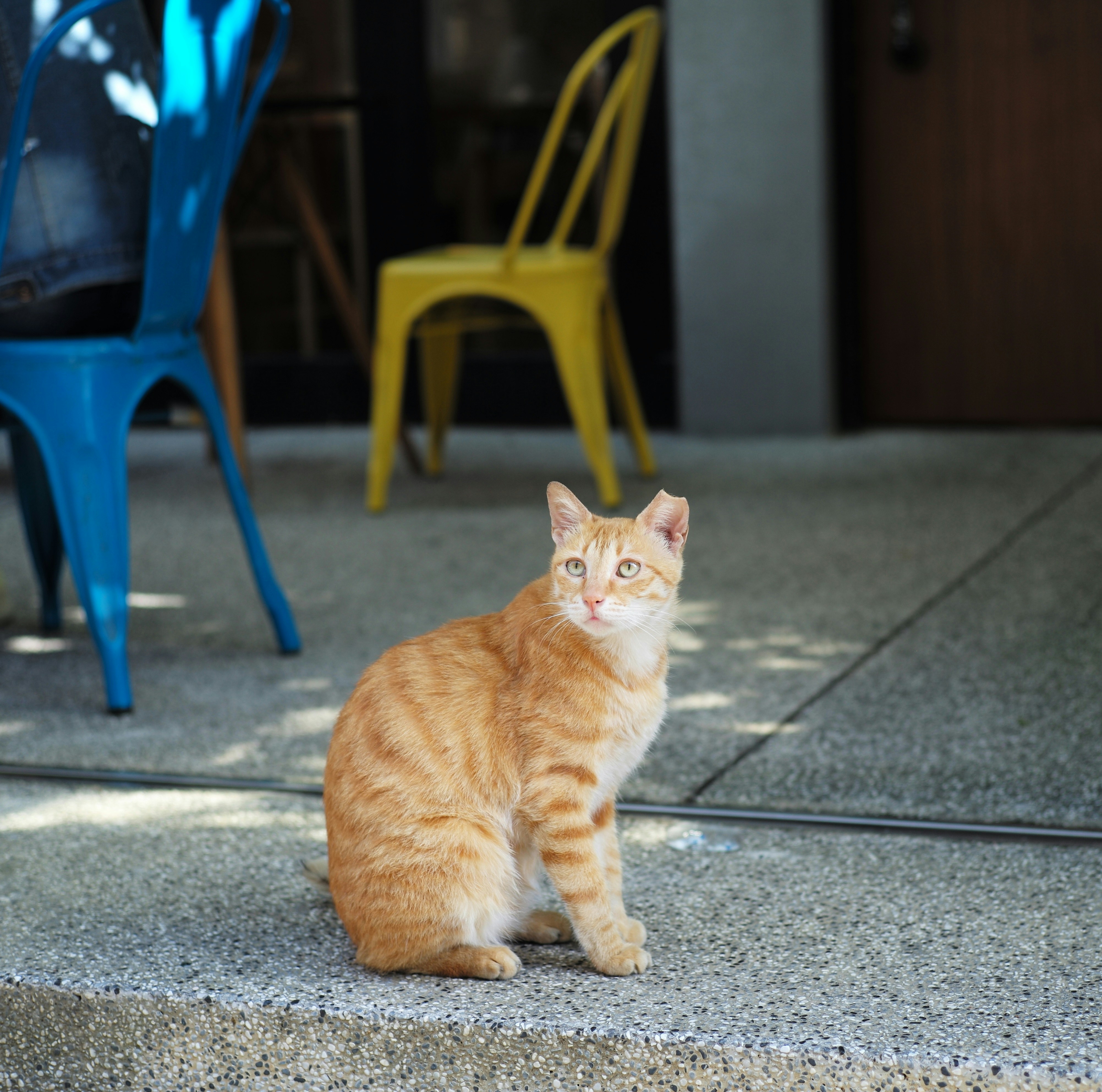 Free Unsplash photo from Cater Yang