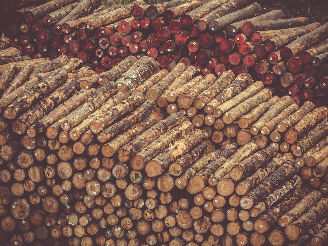Natural fibre bundles
