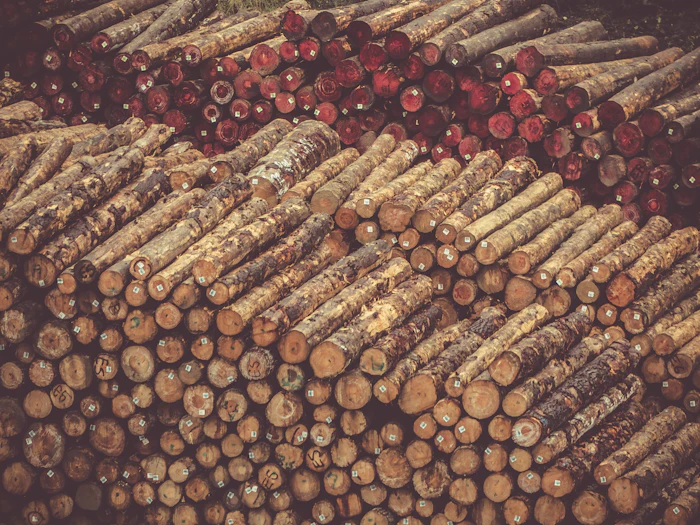 Natural fibre bundles