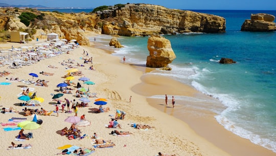 people sun bathing on beach in São Rafael Beach Portugal