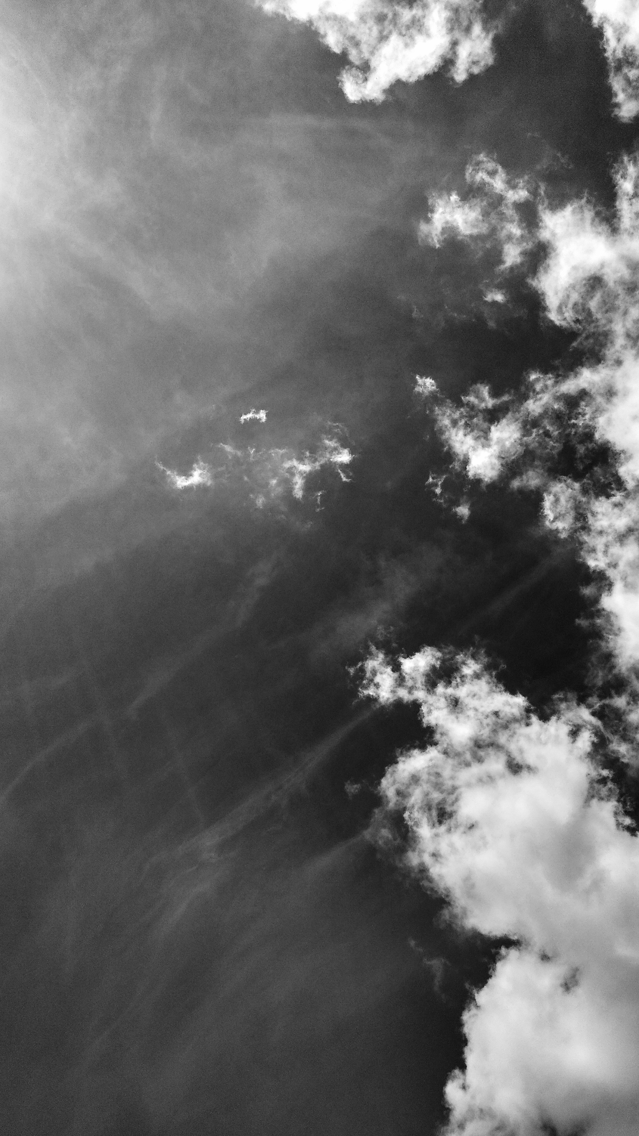 Free Unsplash photo from Keven Silva