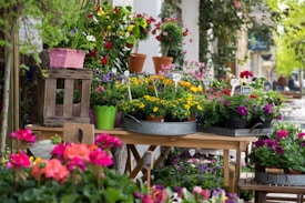 A market stall displays a variety of colorful flowers in pots and trays, arranged neatly on wooden tables. The flowers include vibrant pink, yellow, purple, and red blossoms, set against lush green foliage. Wooden crates and pots of various colors add a rustic and charming aesthetic to the scene. The background features additional greenery and urban elements such as buildings and pathways.