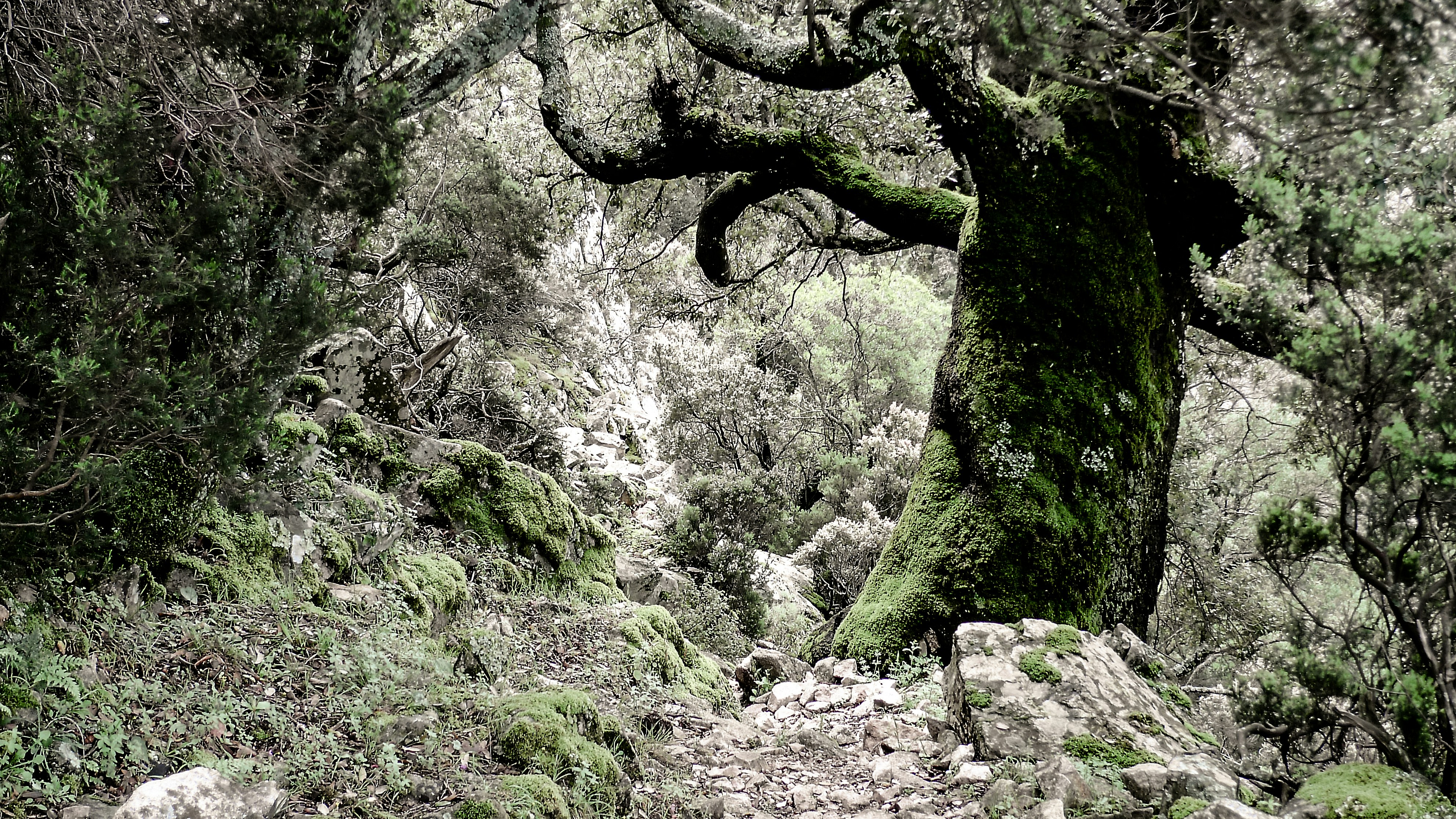 Free Unsplash photo from thomas henke