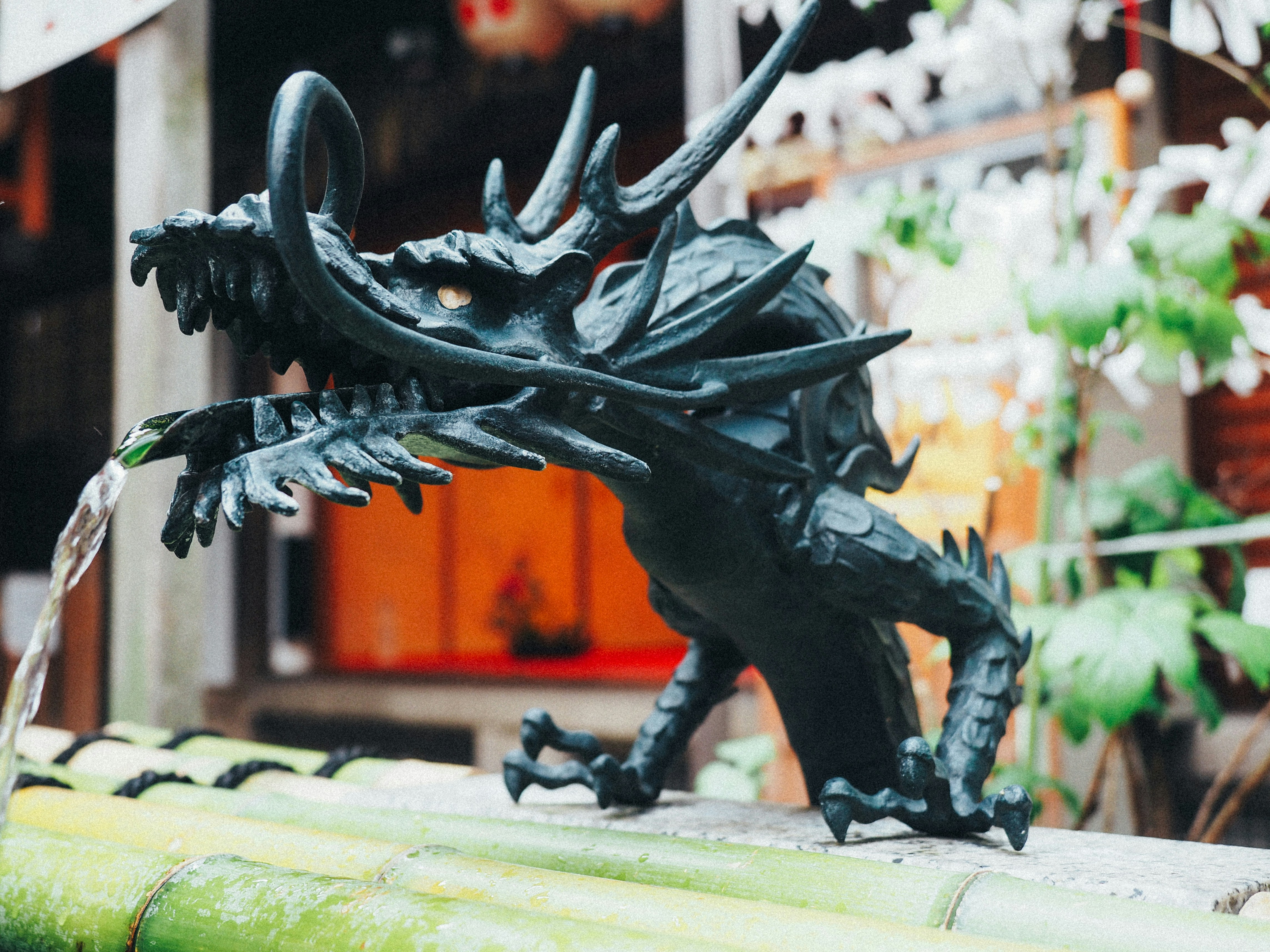 Free Unsplash photo from Soner Eker