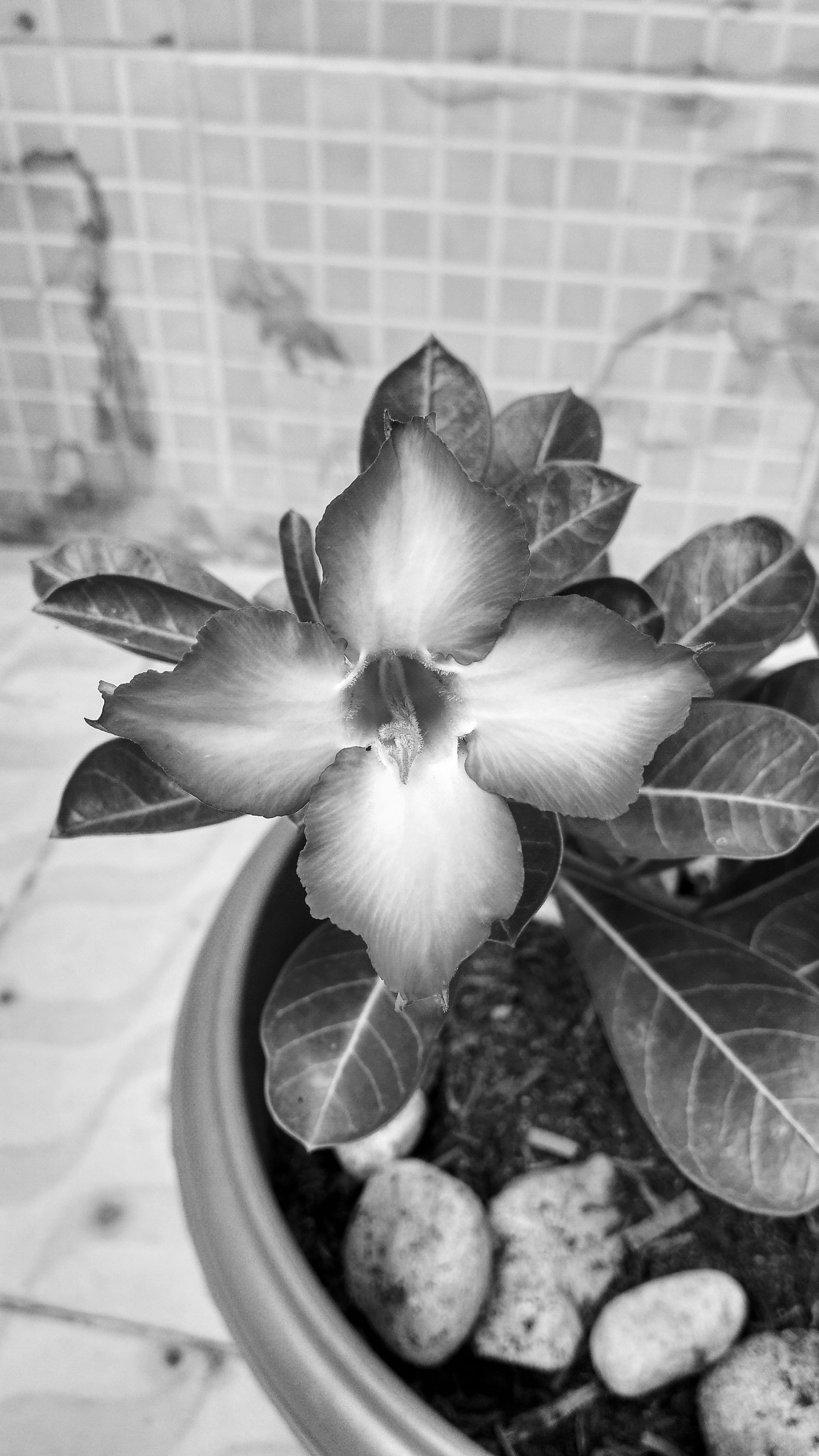 Free Unsplash photo from Keven Silva