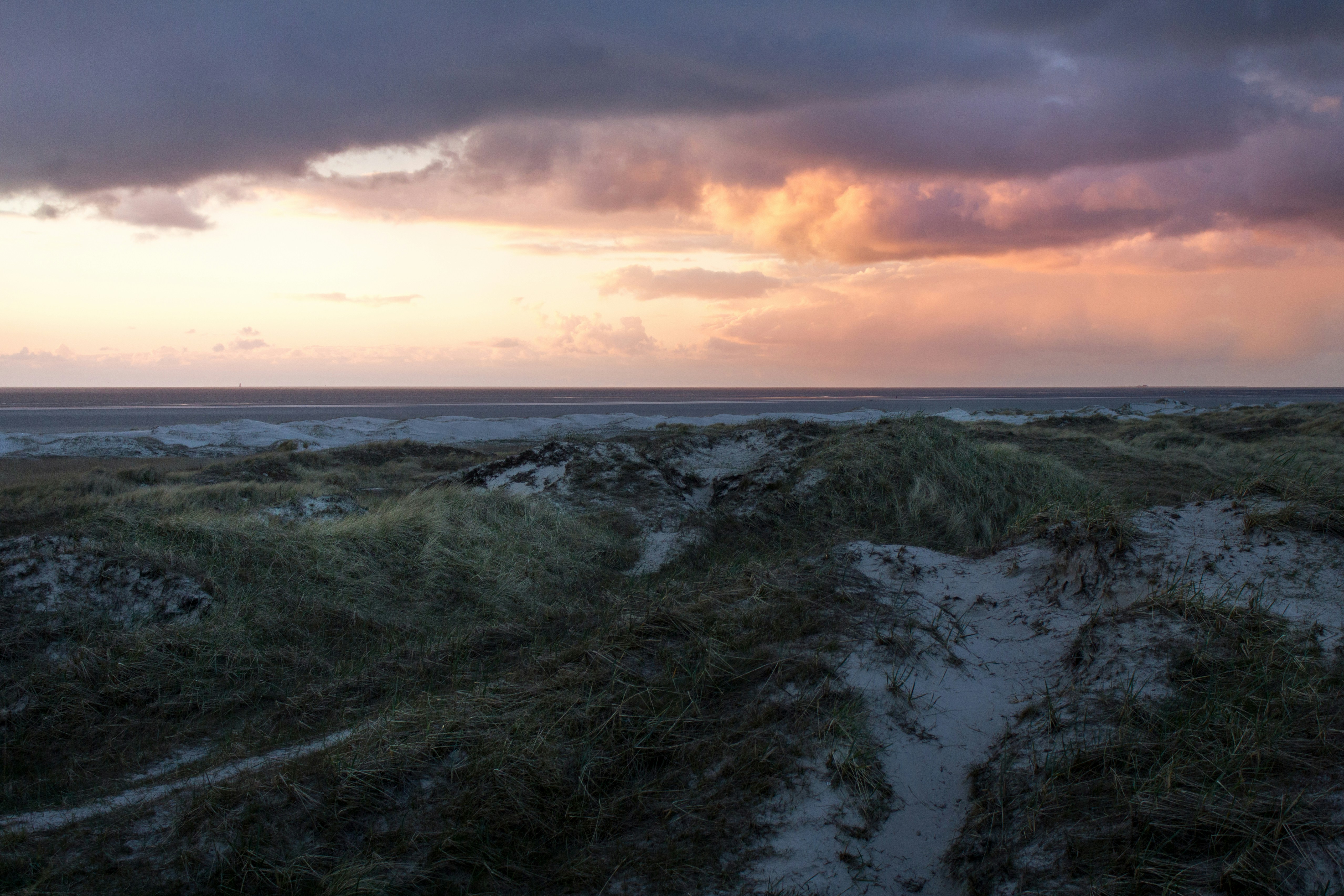 Free Unsplash photo from Patrick Schöpflin