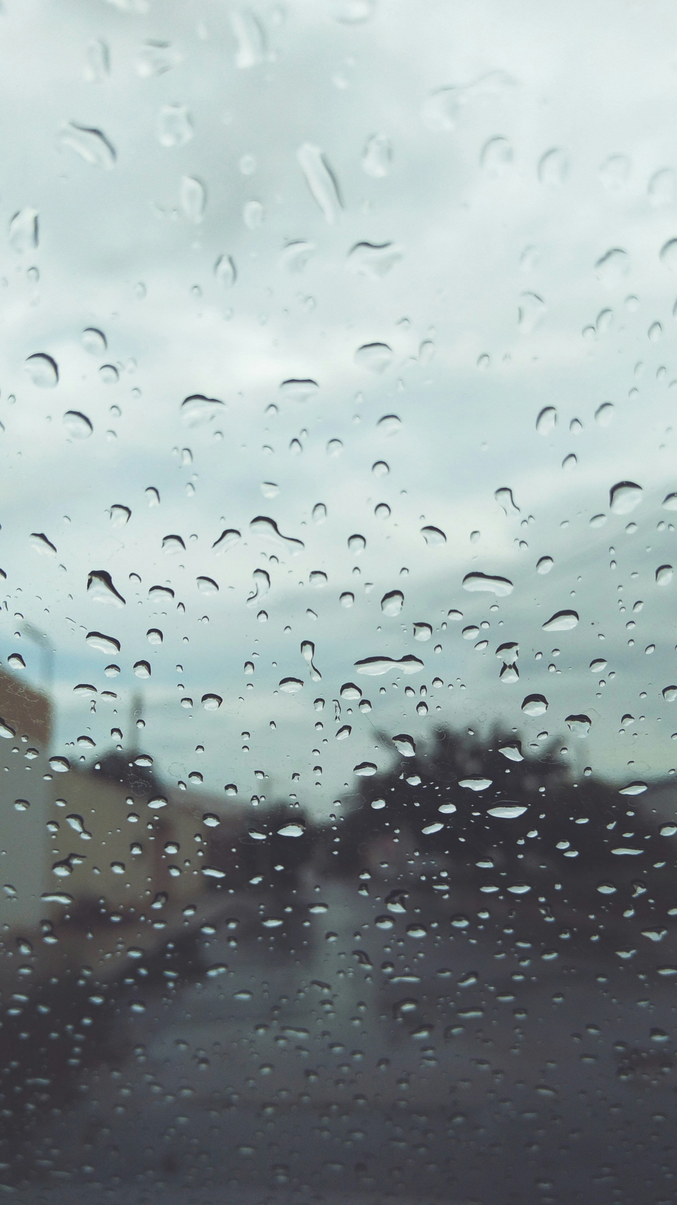 Free Unsplash photo from Keven Silva