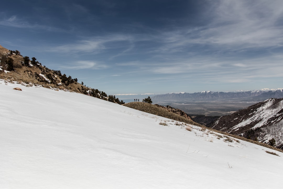 snow covered field under blue sky during daytime