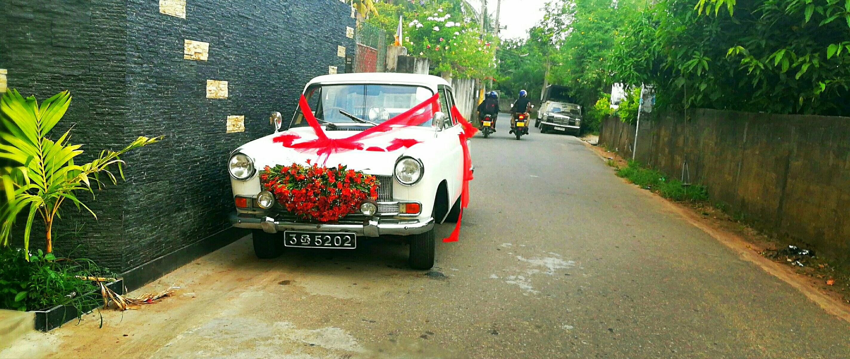 Free Unsplash photo from harintha priyashan