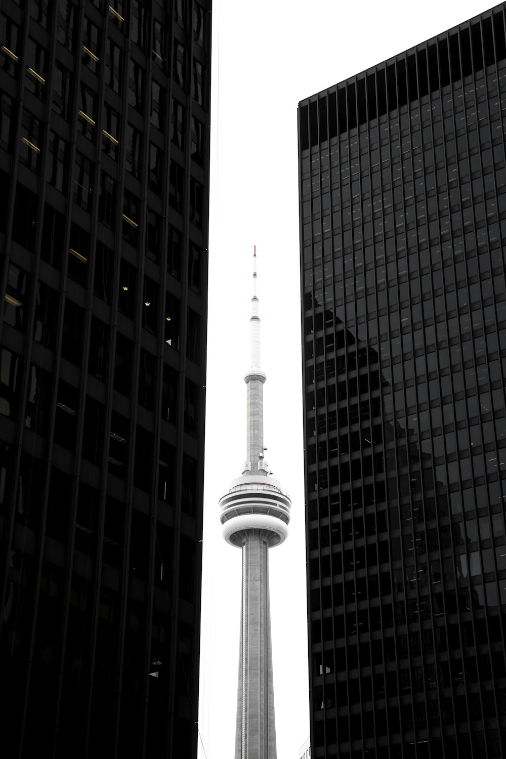 CN tower in between glass skyscrapers