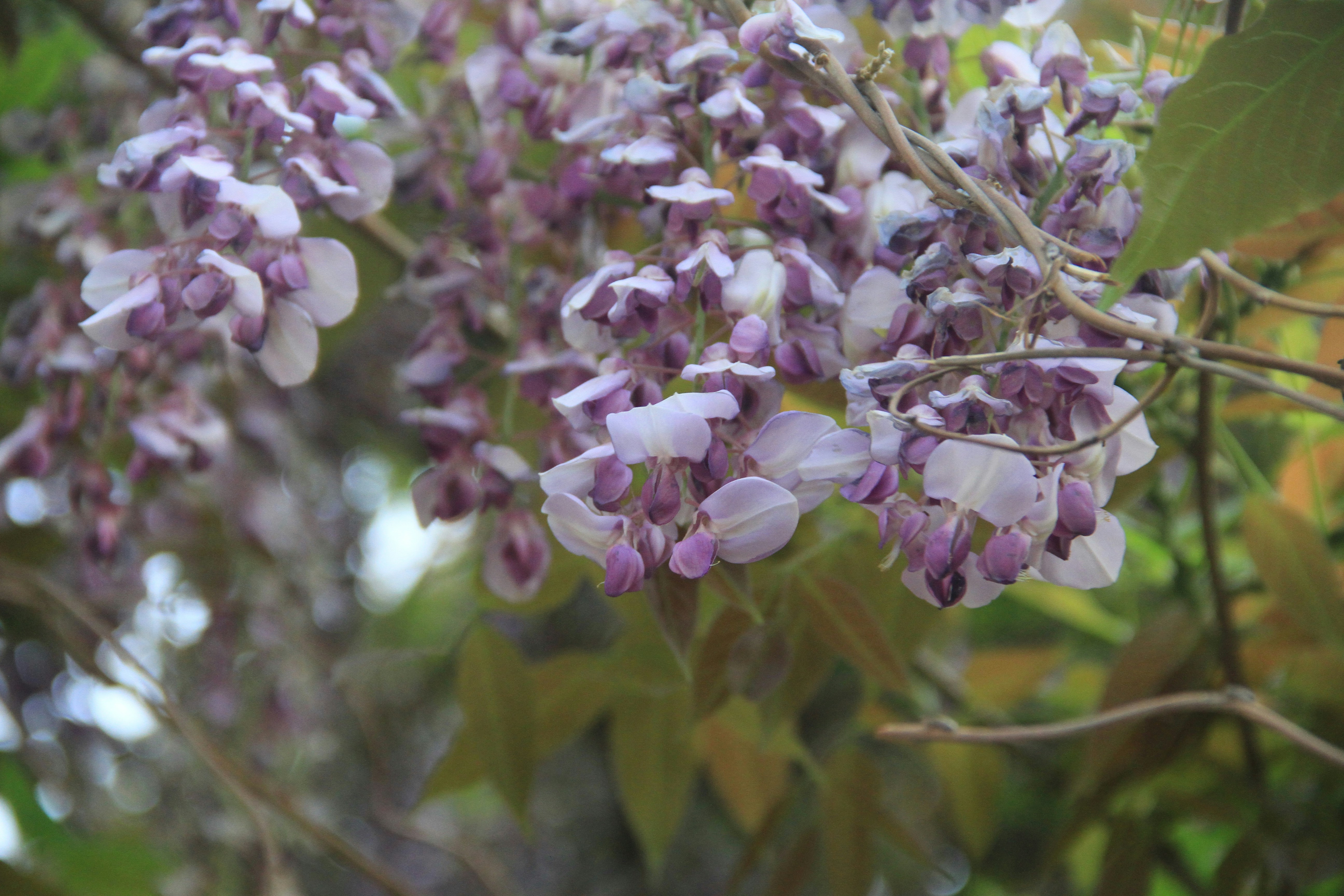 Free Unsplash photo from Ding Wei