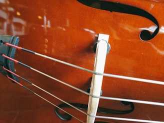 A close-up view of a string instrument showing the strings and bridge against a glossy wooden surface with f-holes.