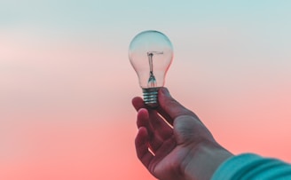 person holding light bulb