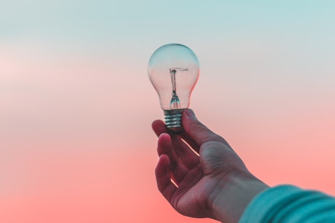 person holding light bulb