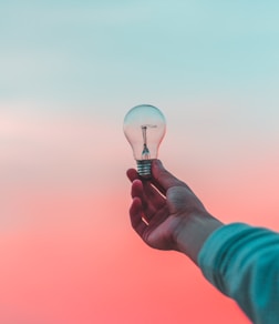 person holding light bulb