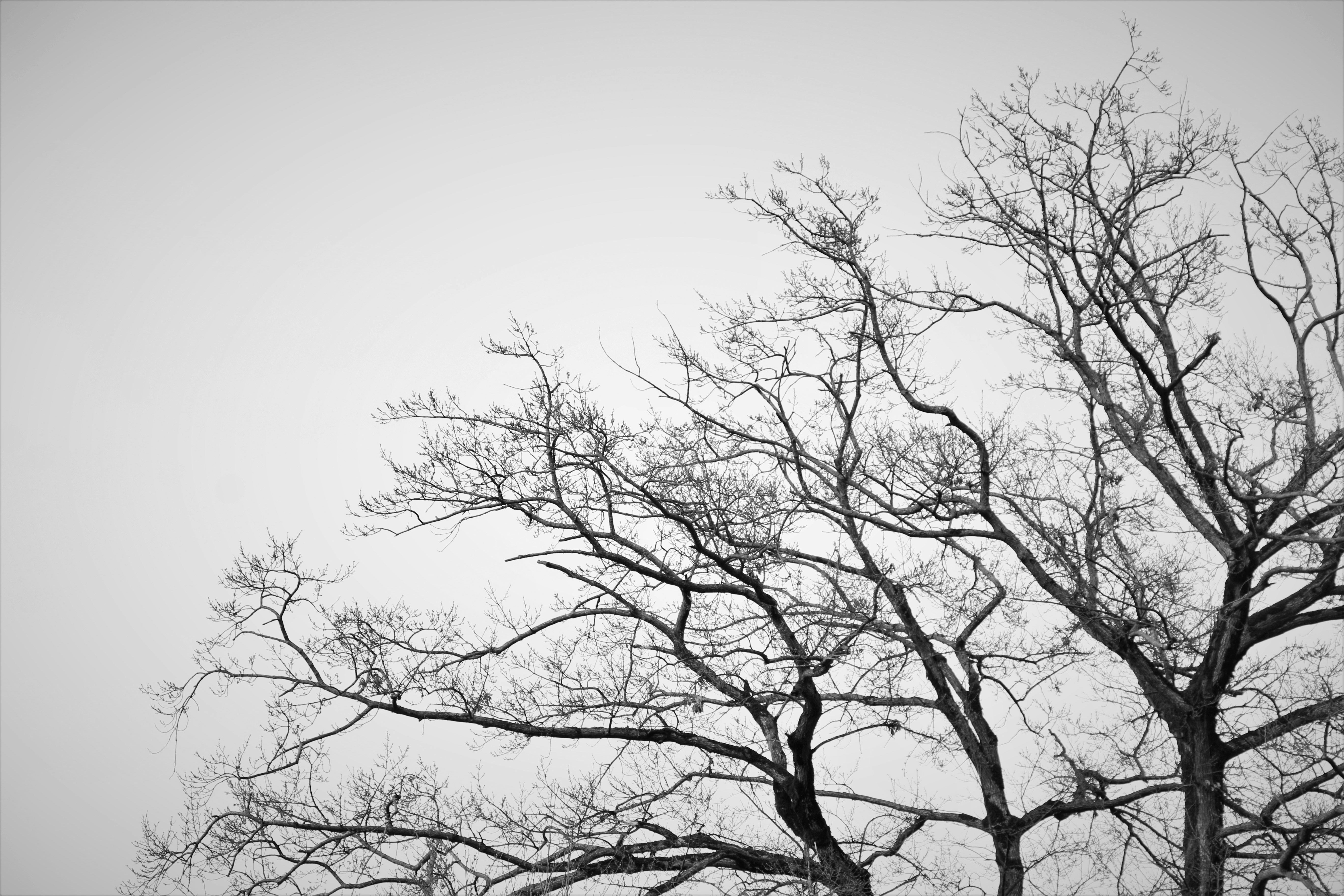 Free Unsplash photo from Alive Reznov