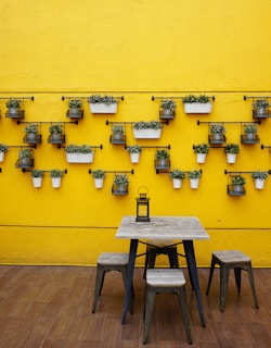 A vibrant kitchen wall painted in cheerful yellow with modern decor