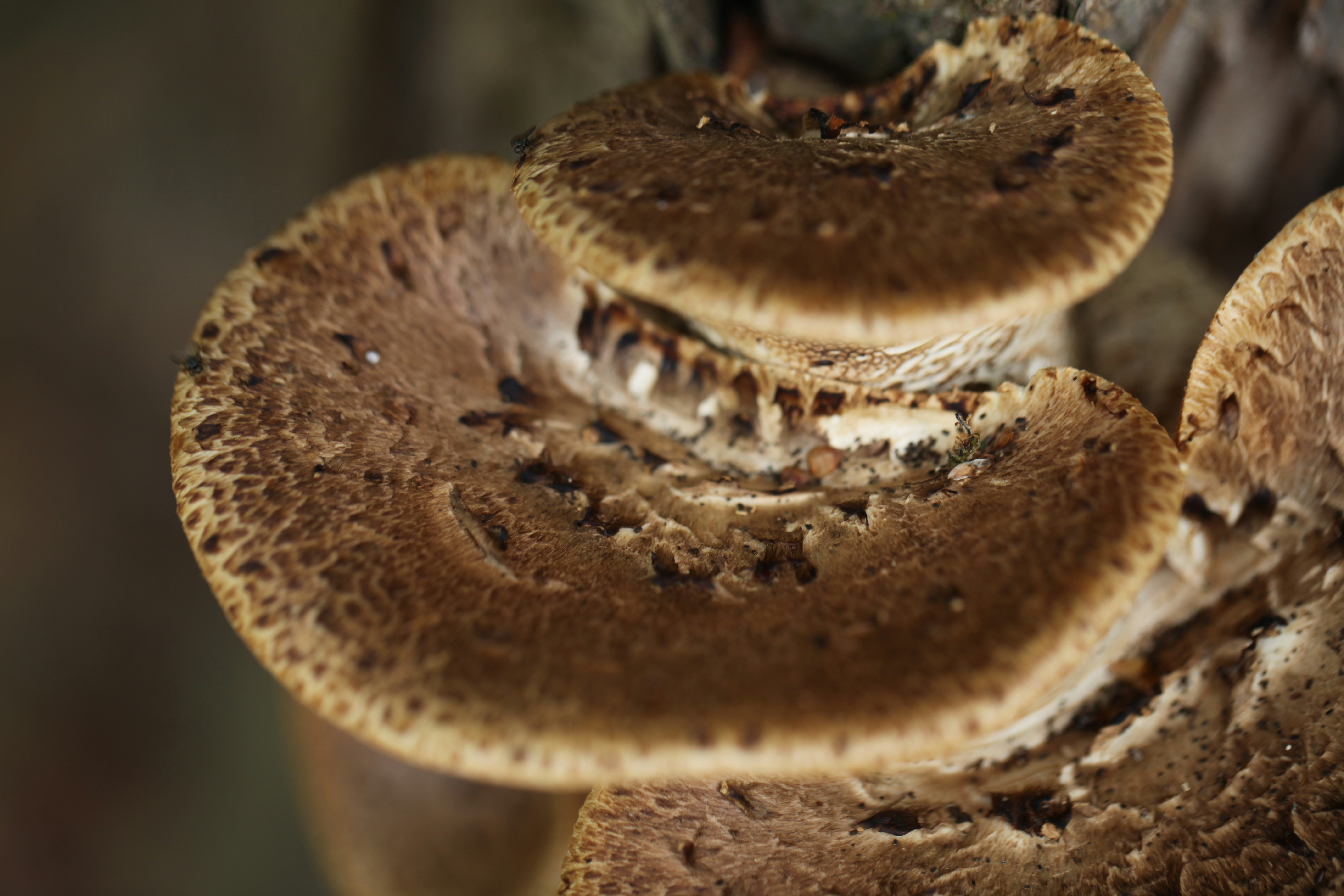 Free Unsplash photo from Paul