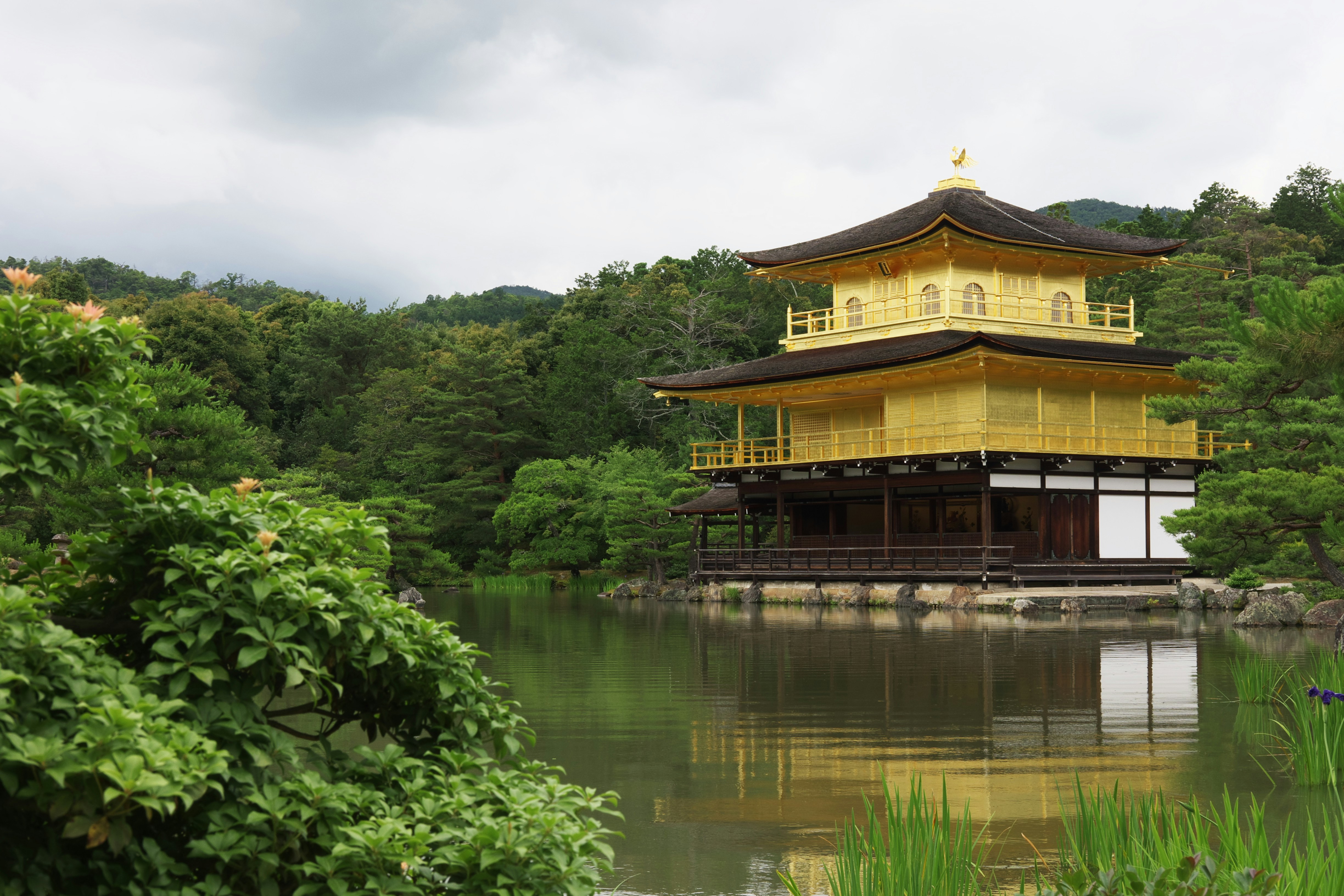 Free Unsplash photo from Kamon Jungapisodom