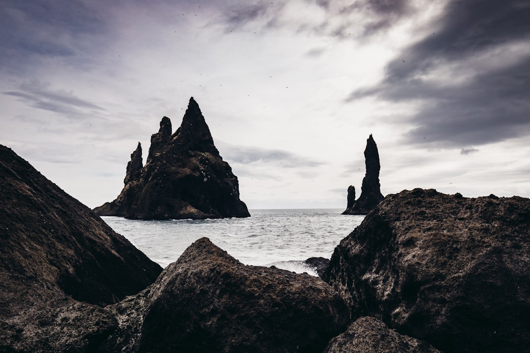 Coast photo spot Reynisfjara Reynisfjara Beach